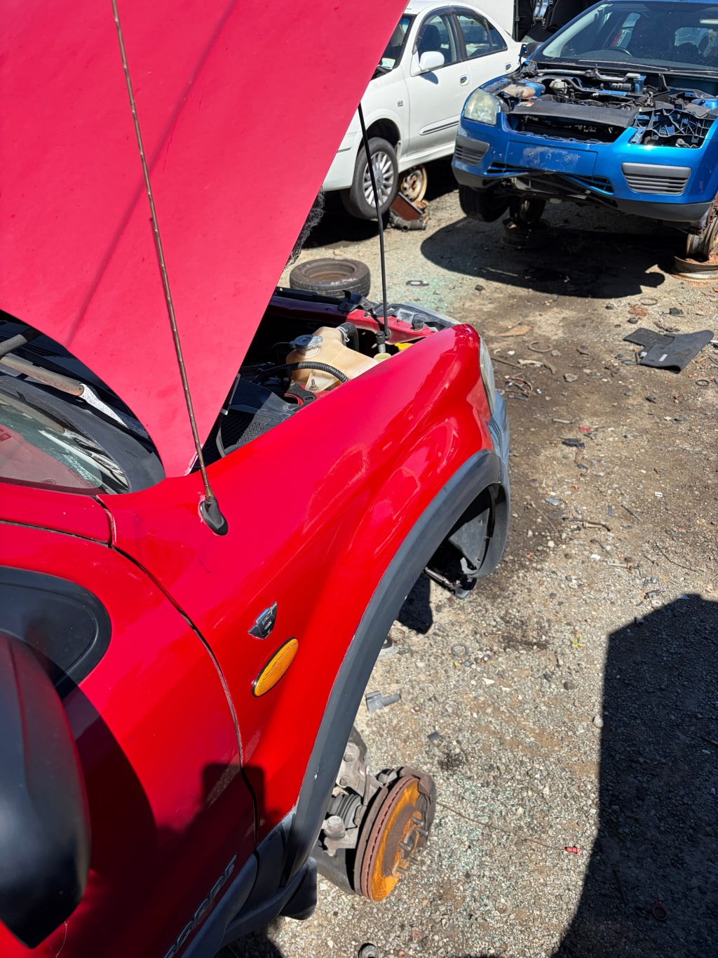 SRE® Scratch Polisher Serum